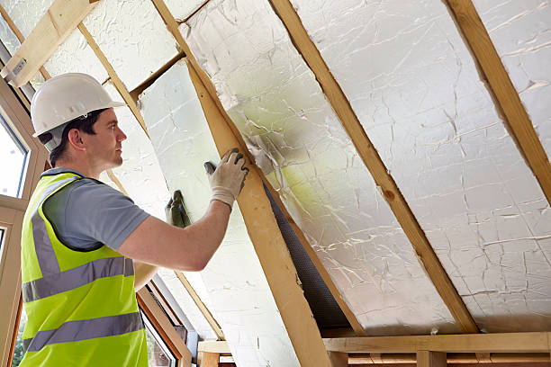 Best Eco-Friendly Insulation in Laurel, MS