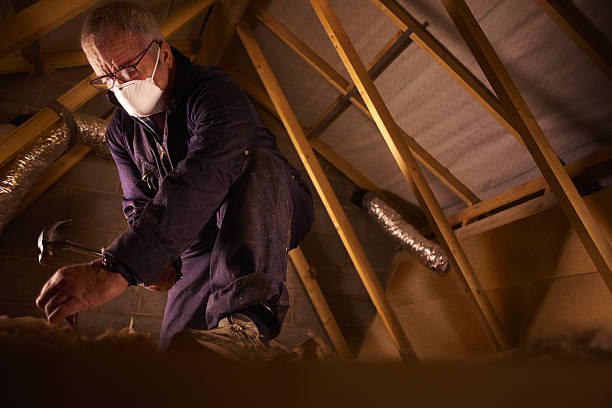 Best Cellulose Insulation in Laurel, MS